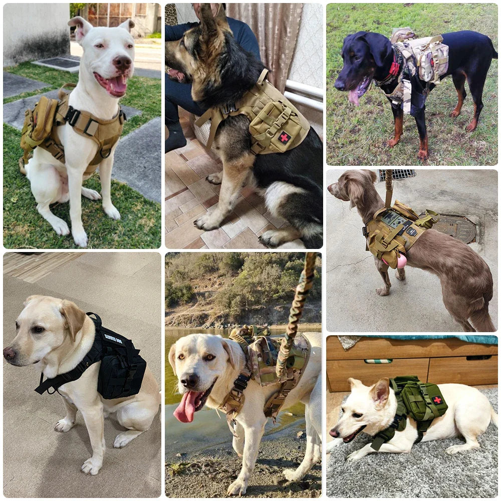 Durable Tactical Dog Harness and Leash Set for Maximum Control and Safety