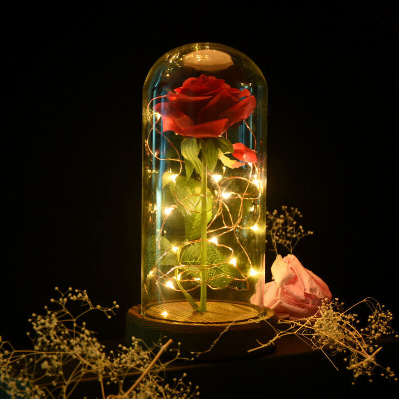 Eternal Rose - Immortal Rose