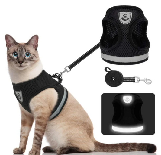 Adjustable Cat Harness with Leash - Safe and Comfortable