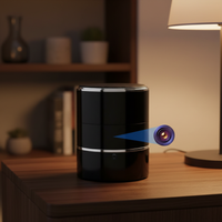 Bluetooth Speaker with Hidden Camera
