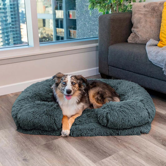 Calming Memory Foam Dog Bed