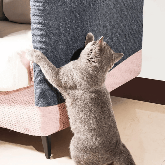 Effective Scratch Protection for Furniture and Walls