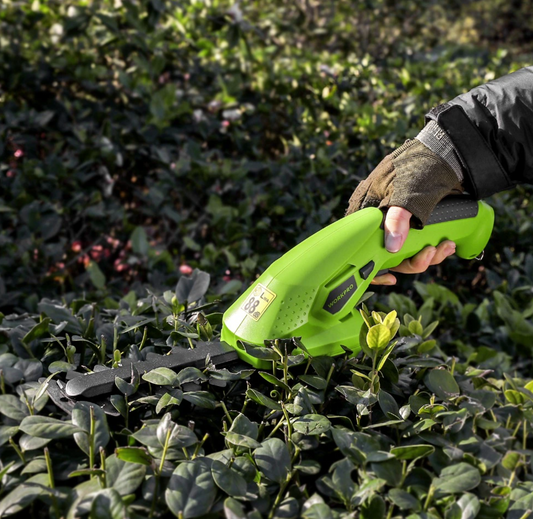 Electric Hedge Trimmer: Efficient Pruning in an Instant